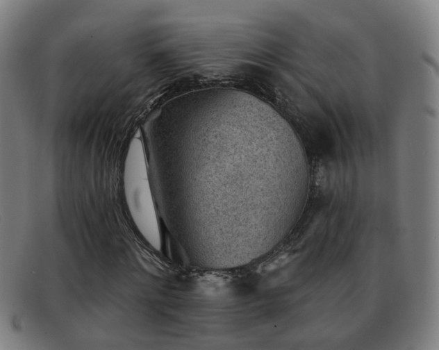 X0000092040868200709121151