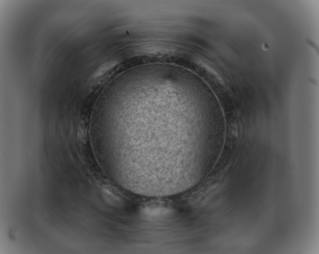 X0000092040869200709121151