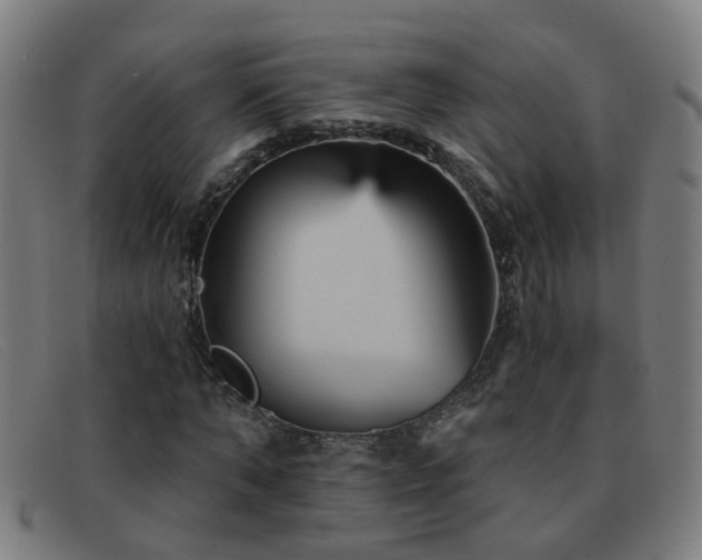 X0000092040870200709121151