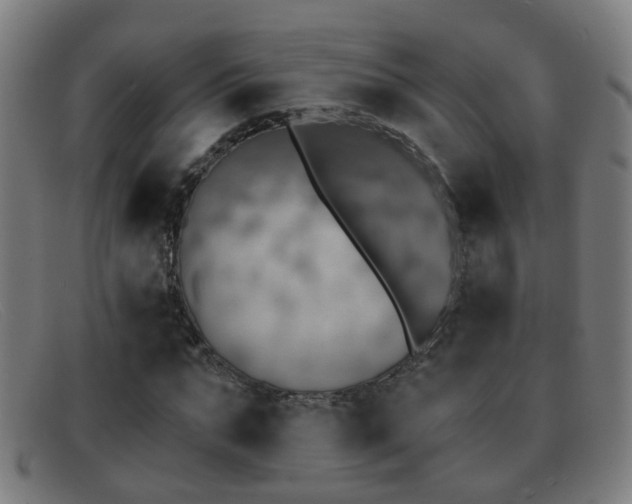 X0000092040871200709121151