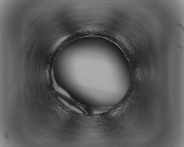 X0000092040872200709121151