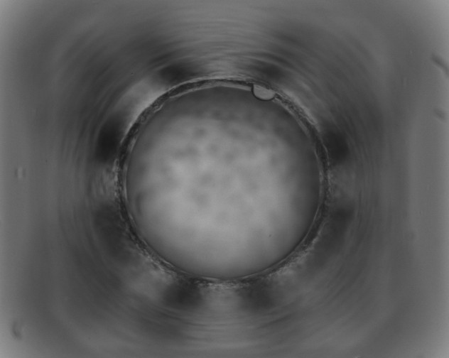 X0000092040875200709121151