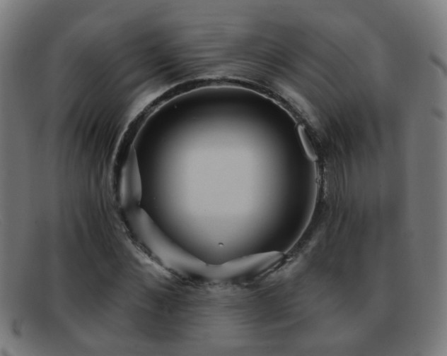 X0000092040876200709121151