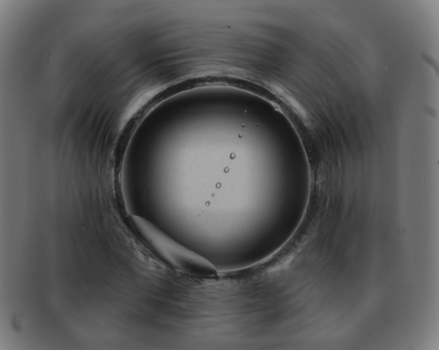 X0000092040877200709121151