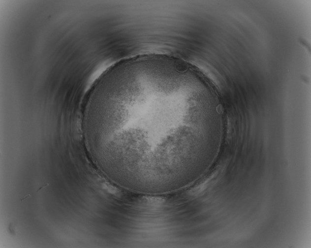 X0000092040878200709121151