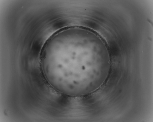 X0000092040879200709121151