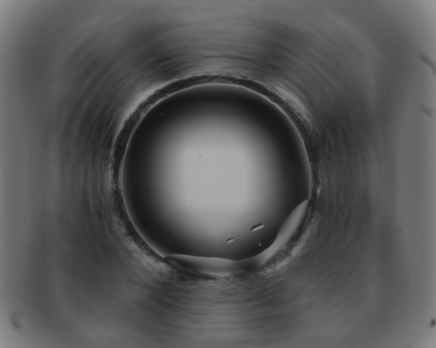 X0000092040880200709121151