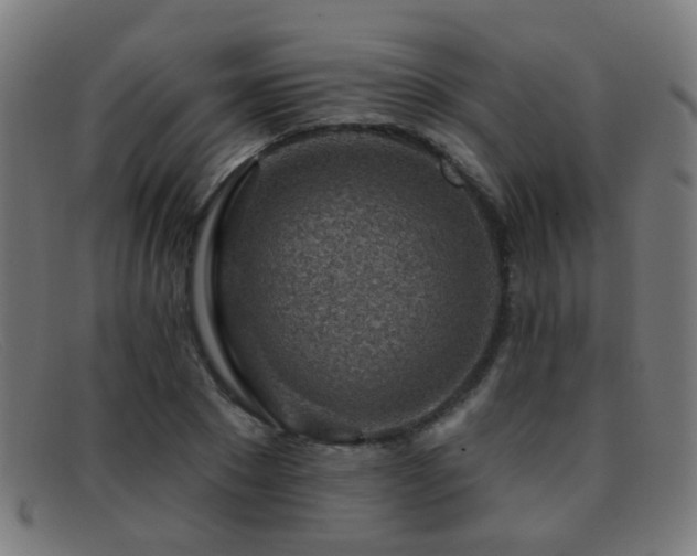 X0000092040881200709121151