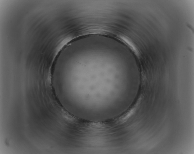 X0000092040883200709121151