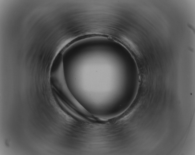 X0000092040884200709121151