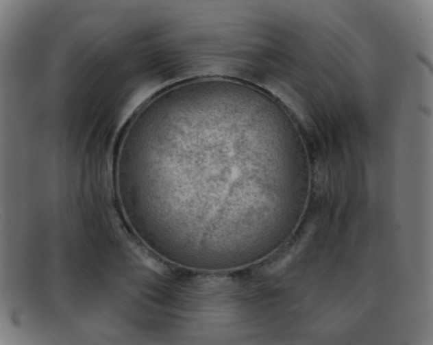 X0000092040886200709121151