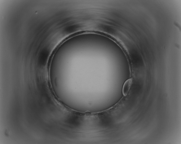 X0000092040887200709121151