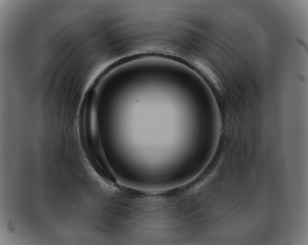 X0000092040888200709121151