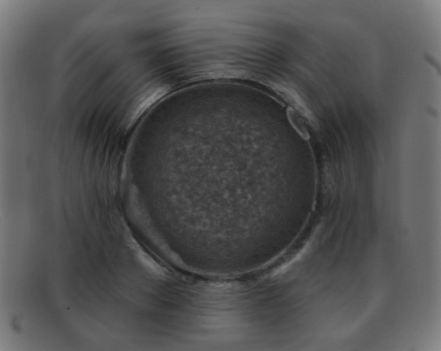 X0000092040889200709121151