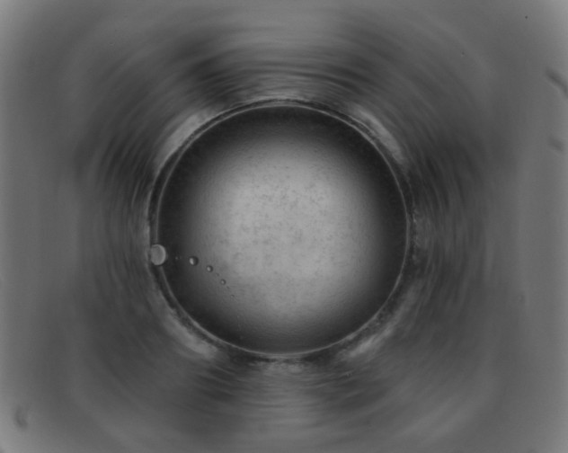 X0000092040890200709121151