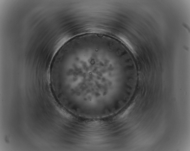 X0000092040891200709121151