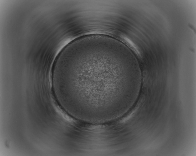 X0000092040892200709121151