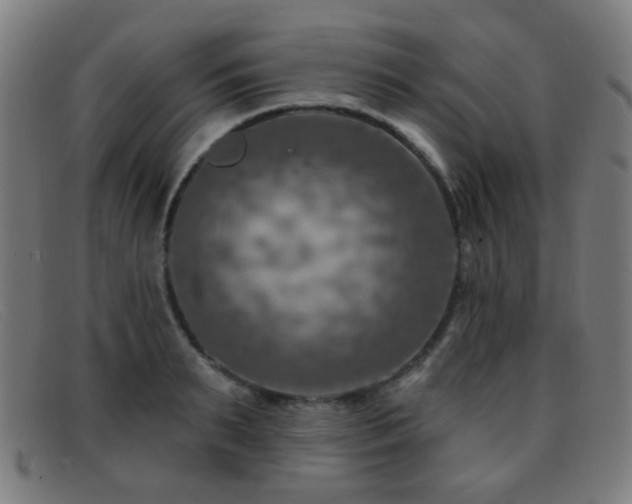 X0000092040895200709121151