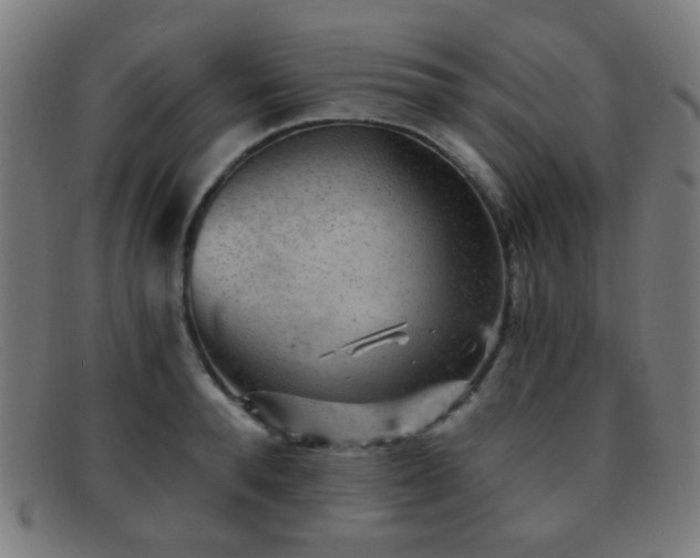 X0000092040896200709121151