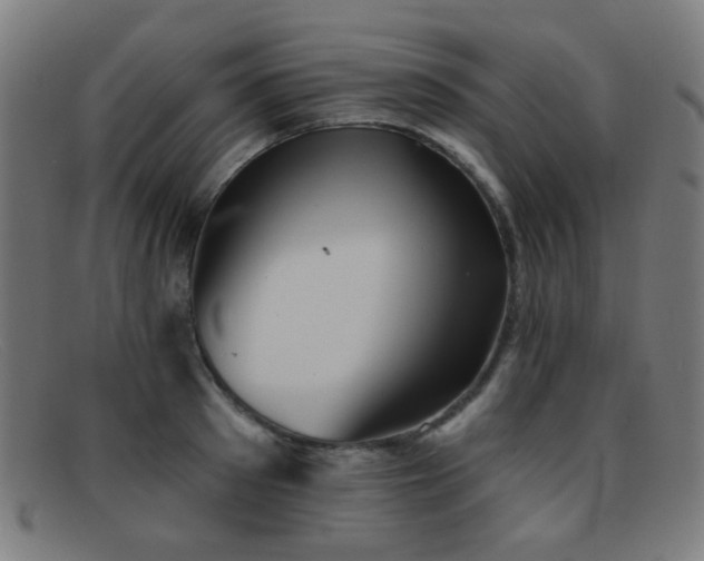 X0000092040897200709121151