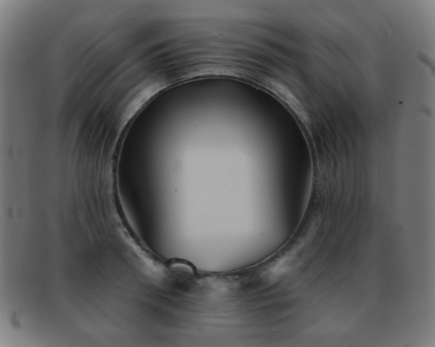 X0000092040898200709121151