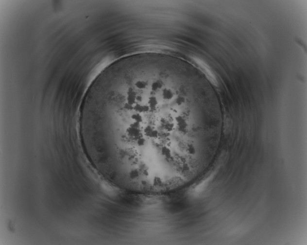 X0000092040899200709121151