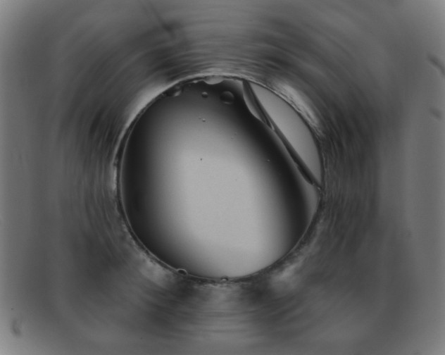 X0000092040900200709121151