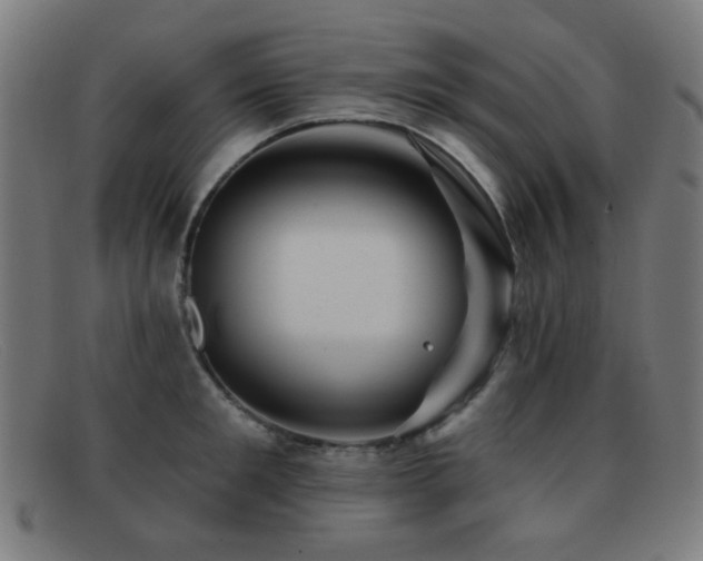 X0000092040901200709121151