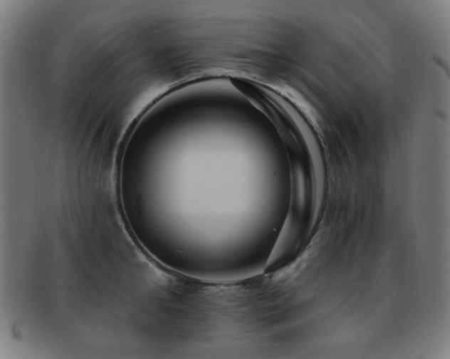 X0000092040902200709121151