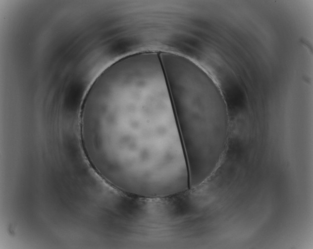 X0000092040903200709121151