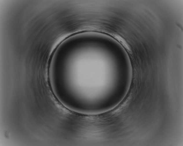 X0000092040904200709121151