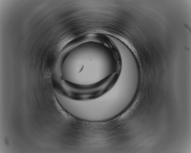 X0000092040905200709121151