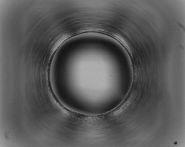 X0000092040906200709121151