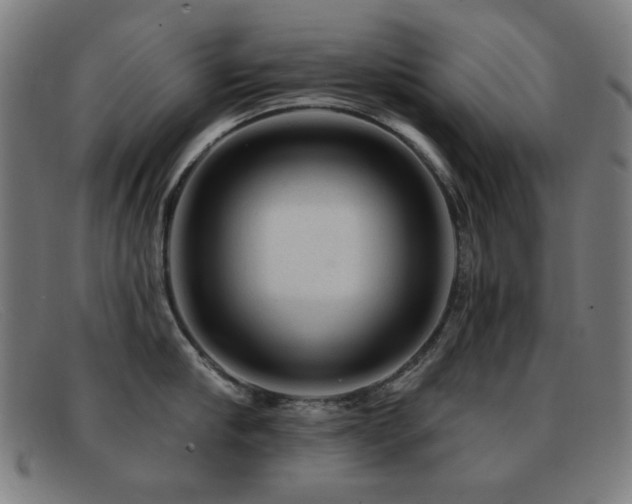 X0000092040910200709121151