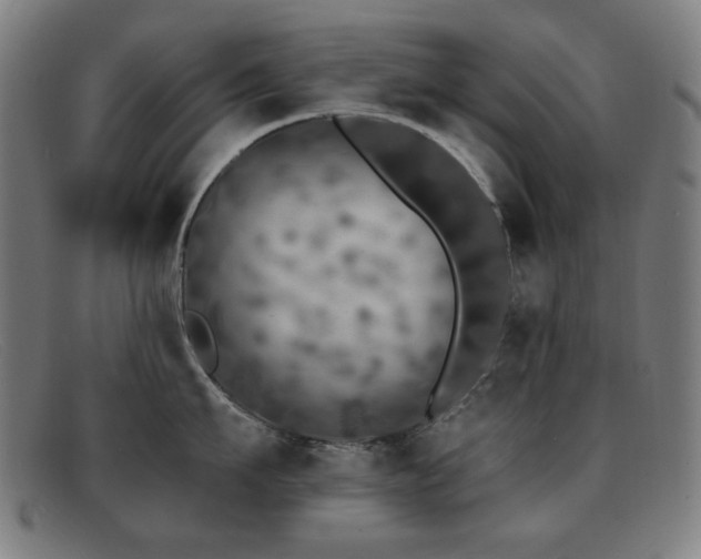 X0000092040911200709121151