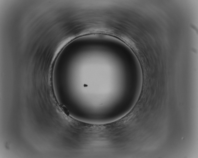 X0000092040912200709121151