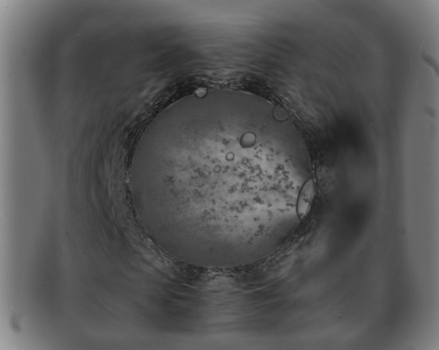 X0000092040913200709121150