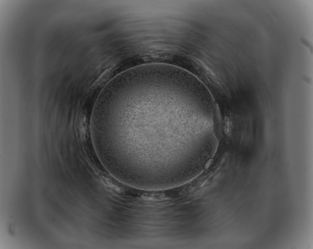 X0000092040915200709121150