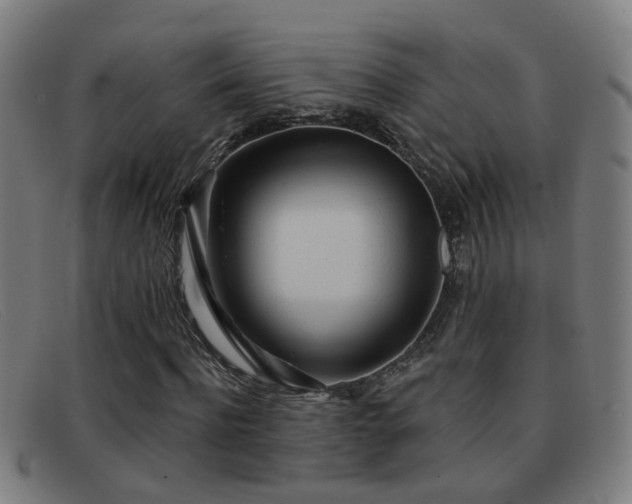 X0000092040916200709121150