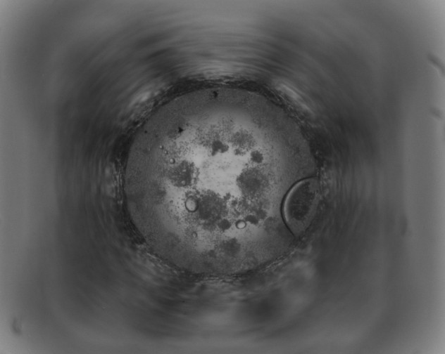 X0000092040917200709121150