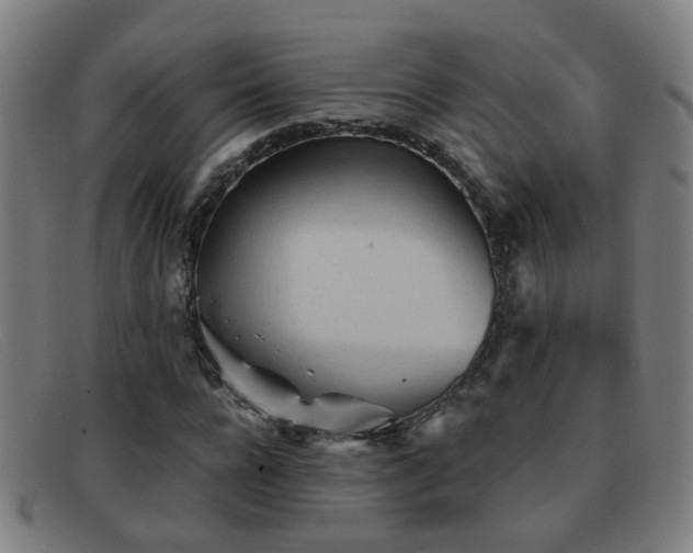 X0000092040920200709121150