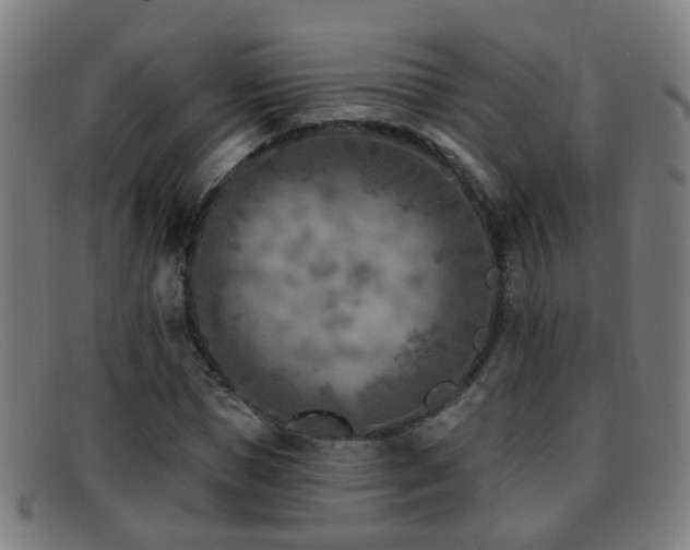 X0000092040921200709121150