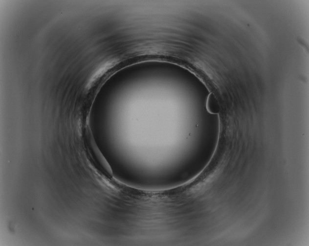 X0000092040922200709121150