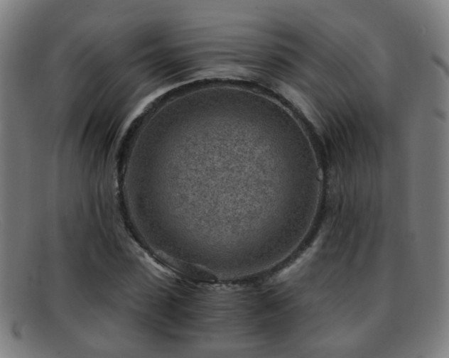 X0000092040923200709121150