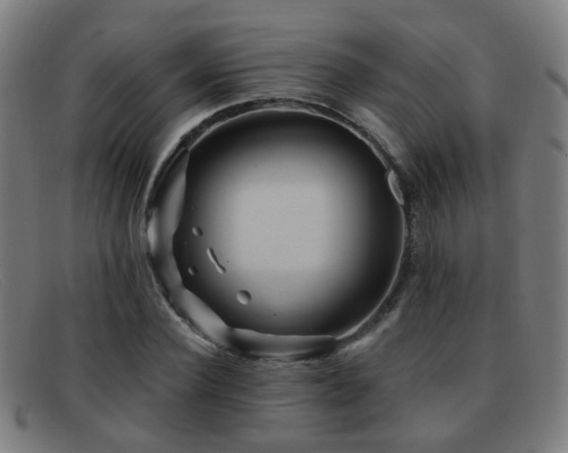 X0000092040924200709121150