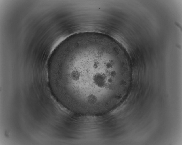 X0000092040925200709121150