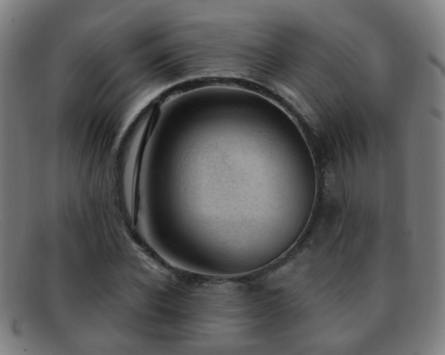 X0000092040926200709121150