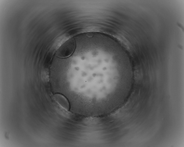 X0000092040929200709121150