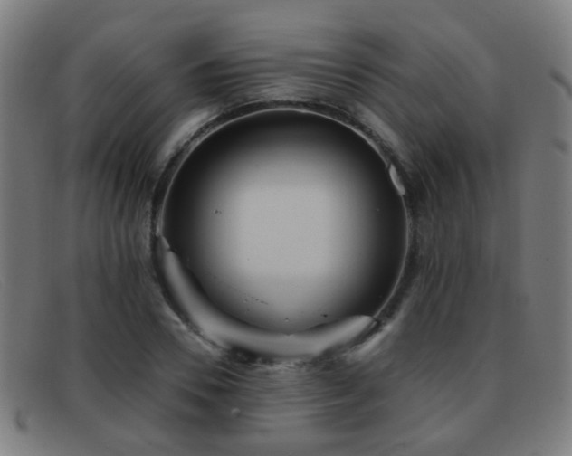 X0000092040930200709121150