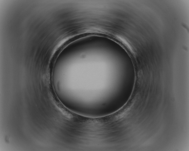 X0000092040931200709121150